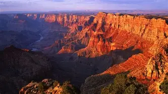 arizona-wild-breath